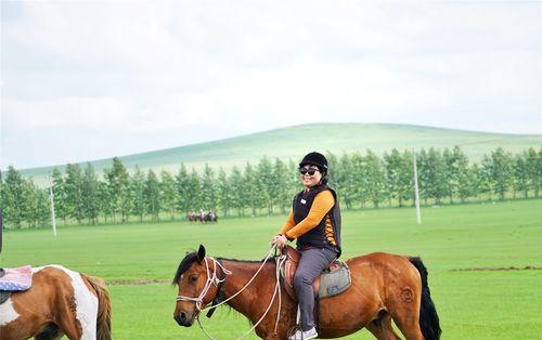 《策马奔腾吧——以马背上的旅程埃翠亚传说》（探索神秘的游戏世界）